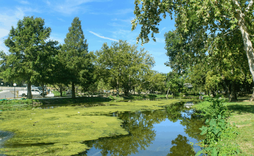 Brushy Creek Round Rock, Texas